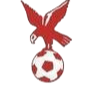 https://img.zzguoyun.com/img/football/team/4802d26df935b78bb2fcdbbff36e8864.png