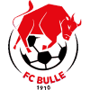 https://img.zzguoyun.com/img/football/team/b201265fa89720bf8cd8ef95549a4738.png